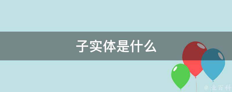 实体是什么