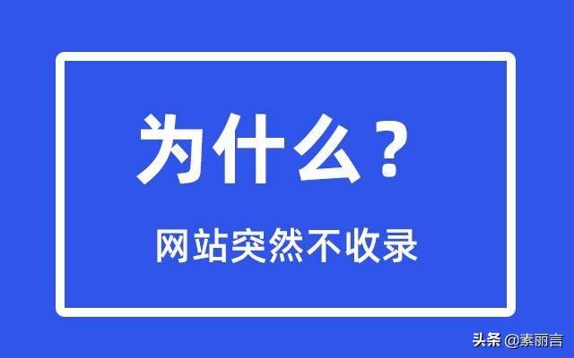 网站不收录