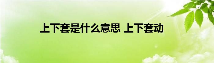 下套什么意思