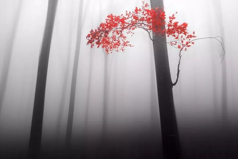 极致的意思