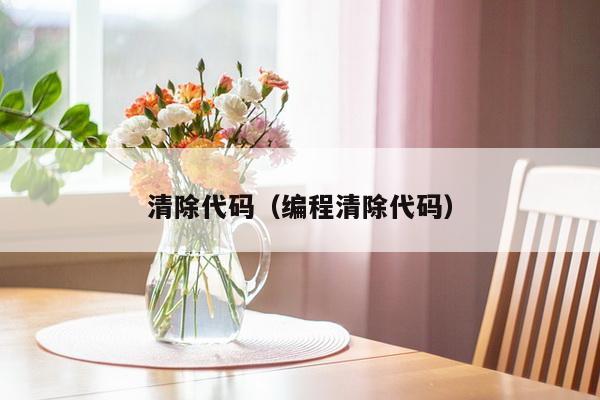 清除代码