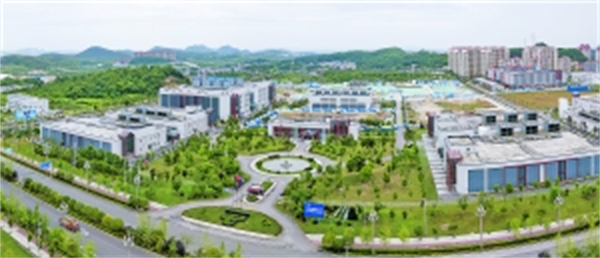 贵阳网络公司