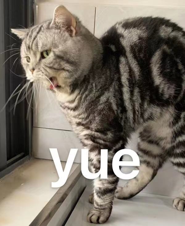 yue啥意思