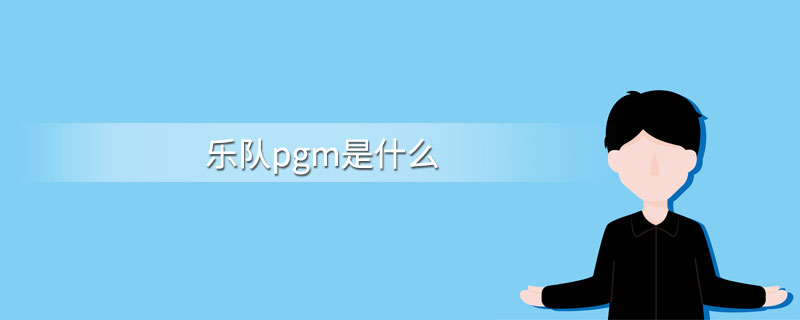 pgm是什么意思