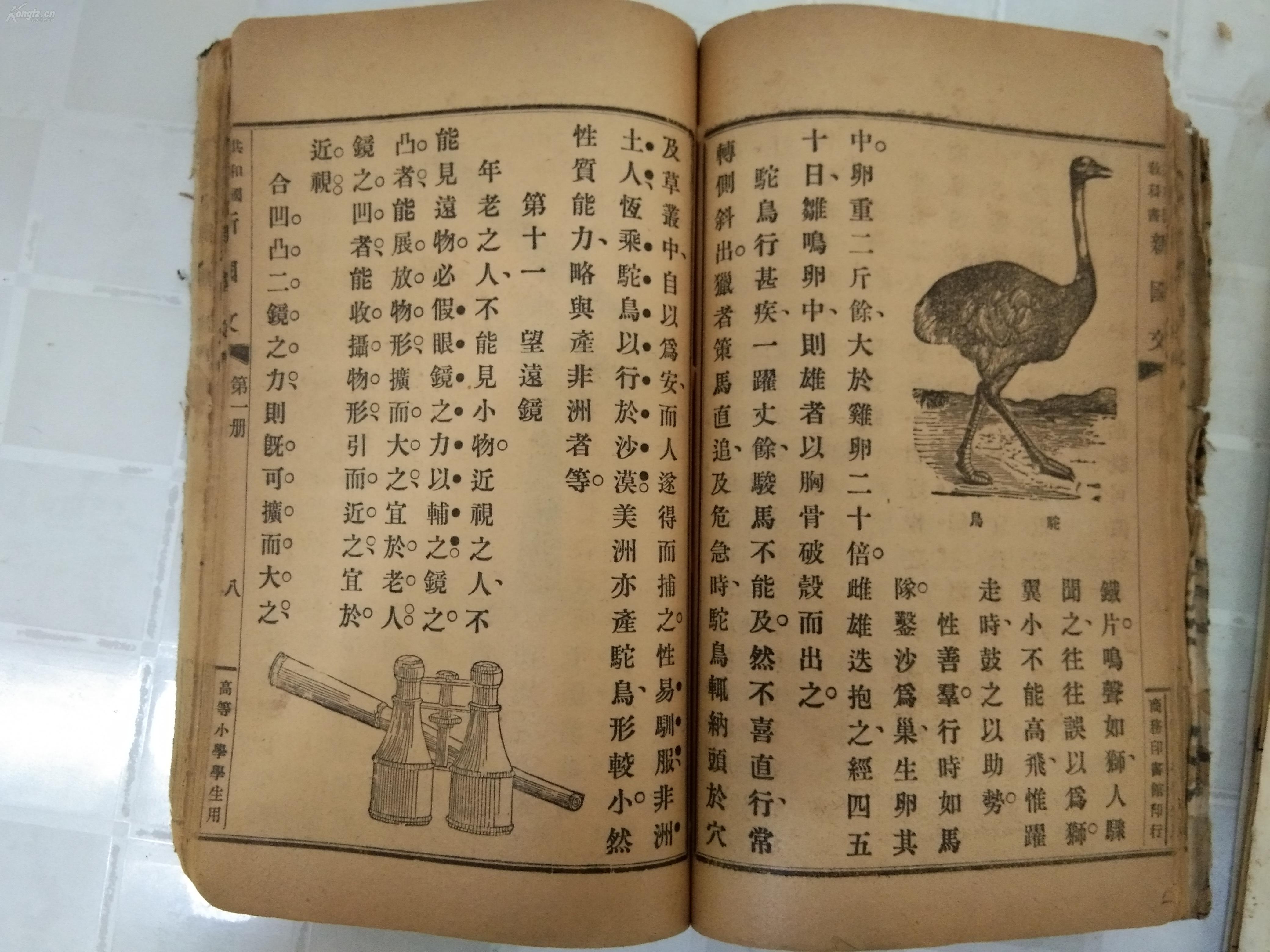 数组转json