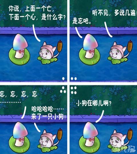 魅惑菇