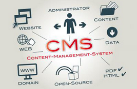 cms是什么意思