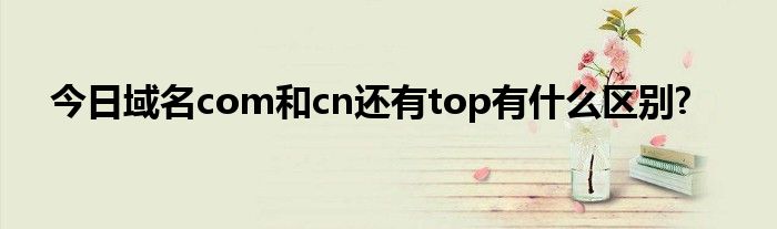 cn域名有什么优点