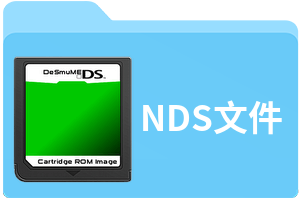 nds是什么意思