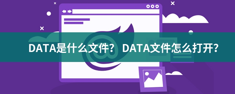 data文件