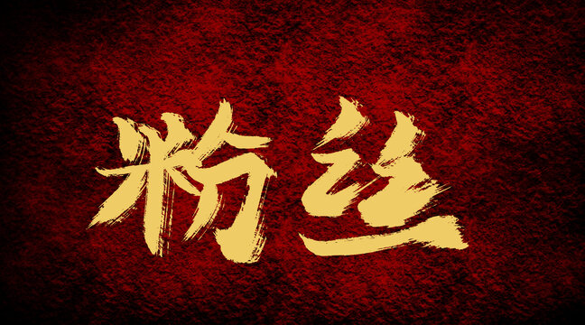 粉丝是什么意思