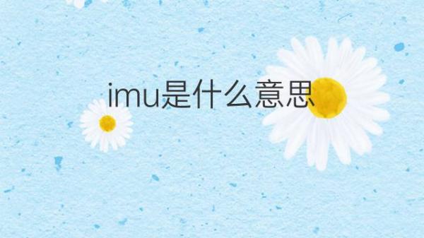imu是什么意思