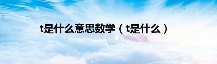 t是什么意思啊