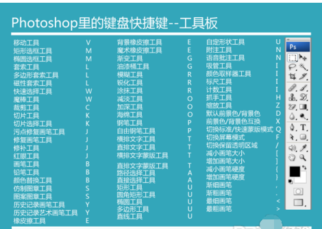 ps复制快捷键