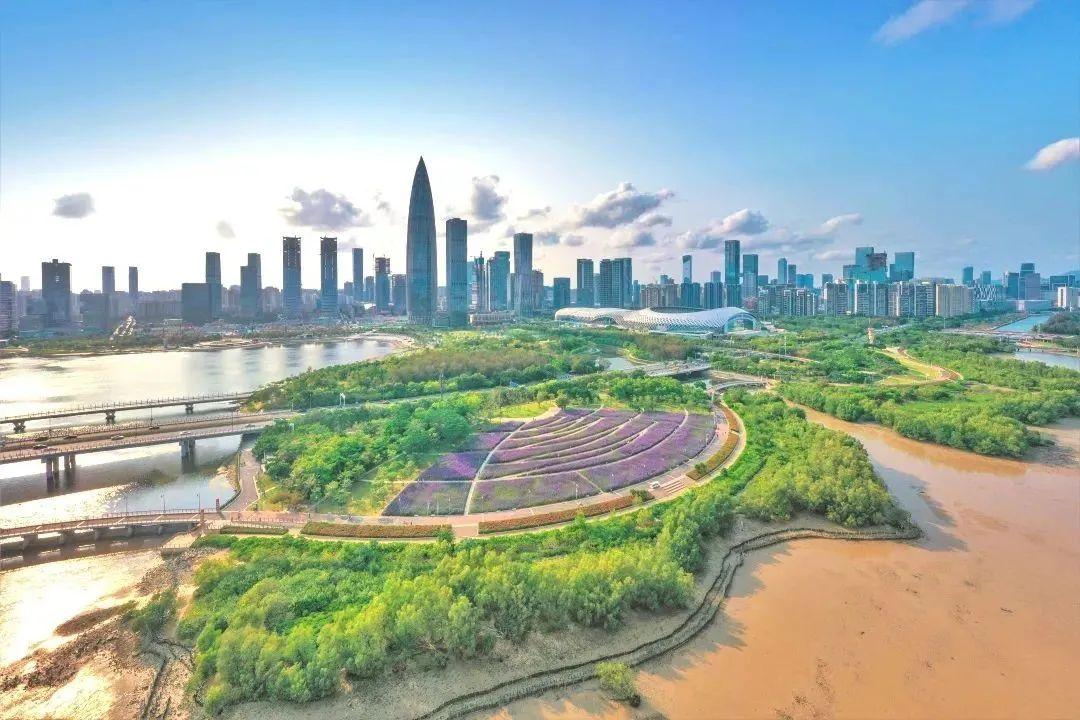 深圳推广