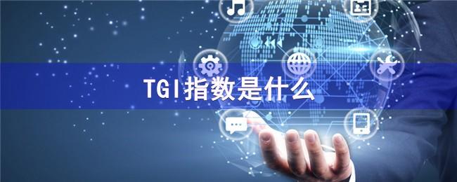 TGI指数