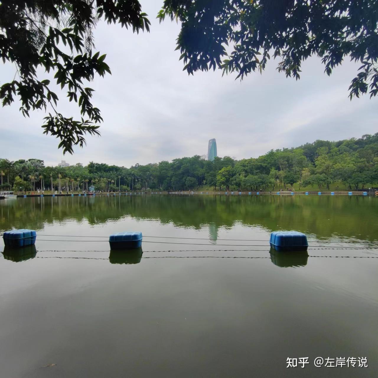 夺回秋雅