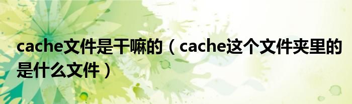 cache文件