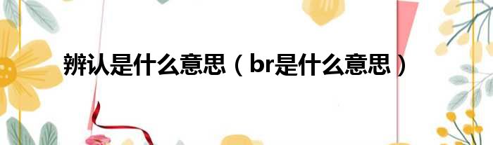 br代表什么
