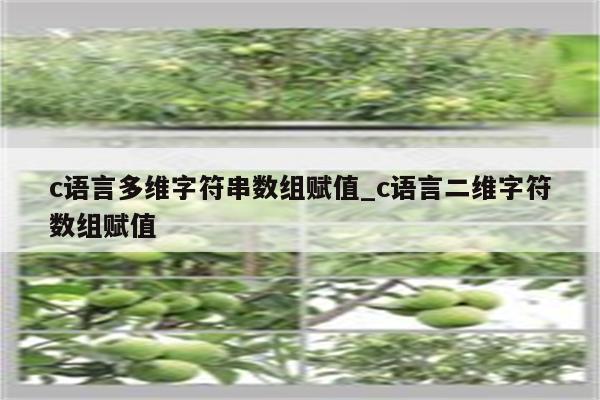 字符串赋值