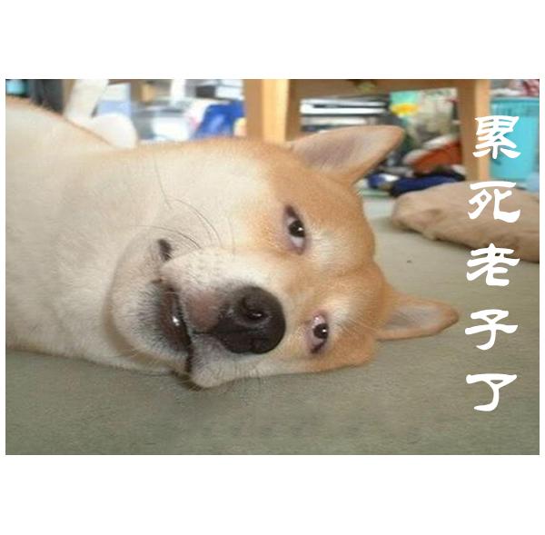 微信运动图片