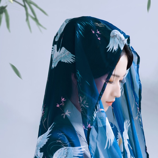 胡什么非什么