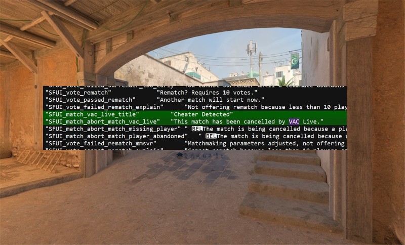cs外挂