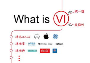 vi什么意思