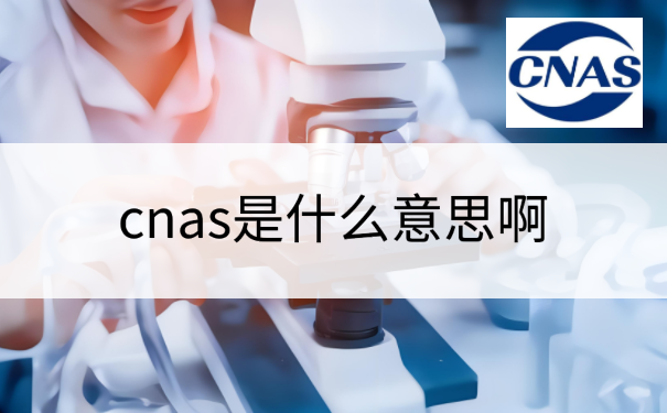 cna是什么意思