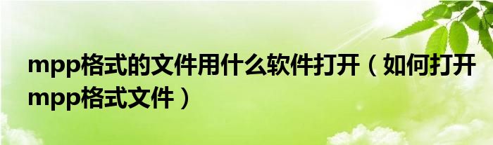 mpp格式