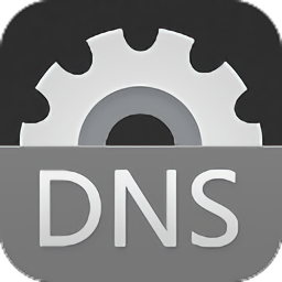 dns优选