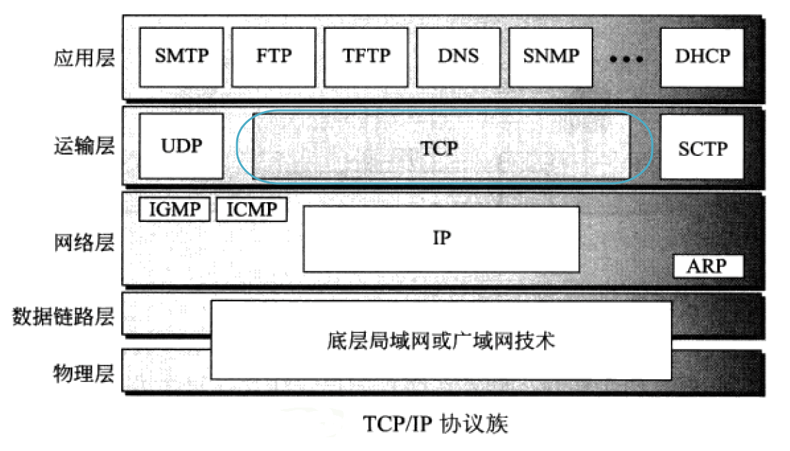 tcp全称