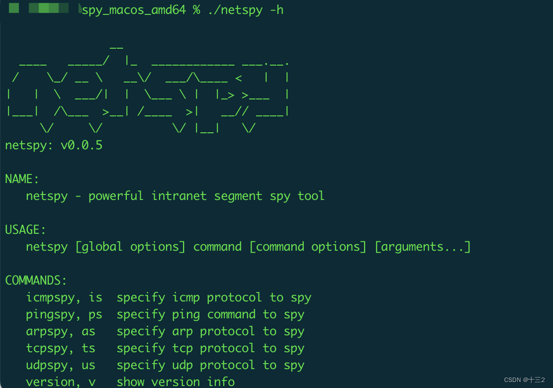 netspy