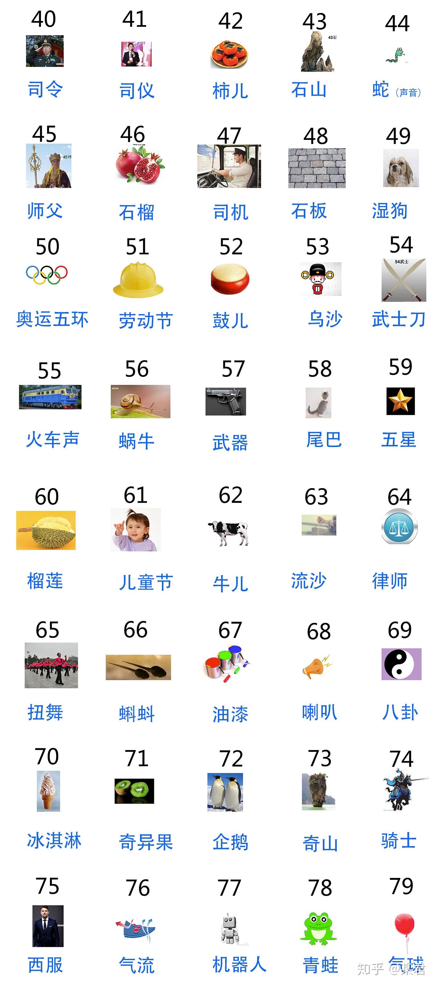 什么叫正码