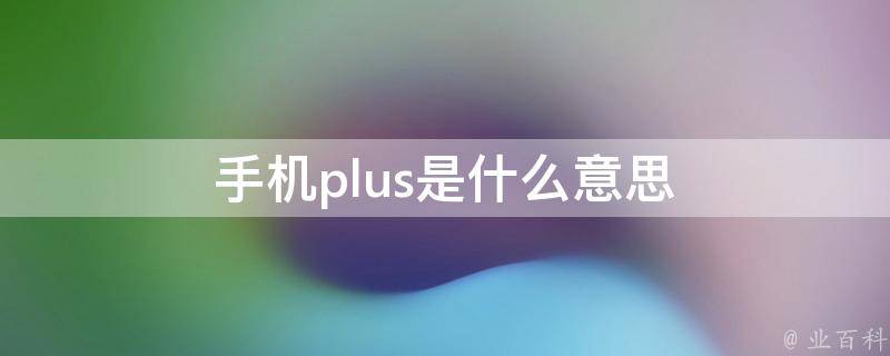 plus什么意思