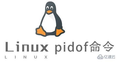 pidof