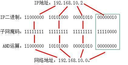 网络号