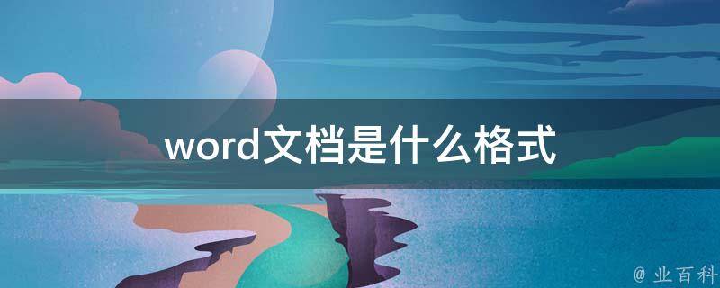 word格式