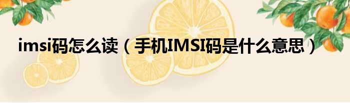 imsi码是什么