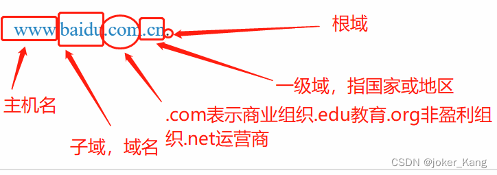 域名ip