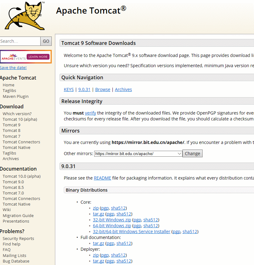 tomcat9