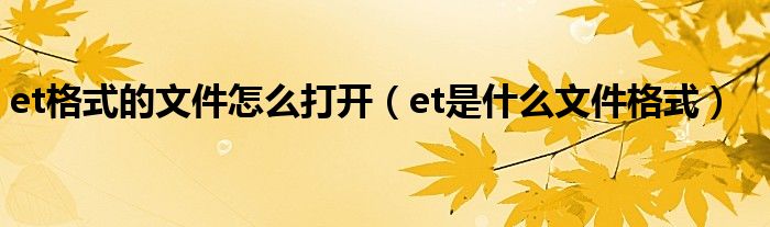 et是什么文件