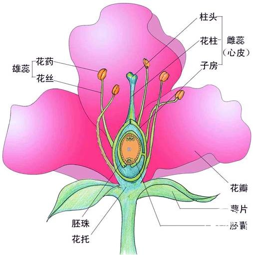 做的结构