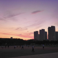 npm清除缓存
