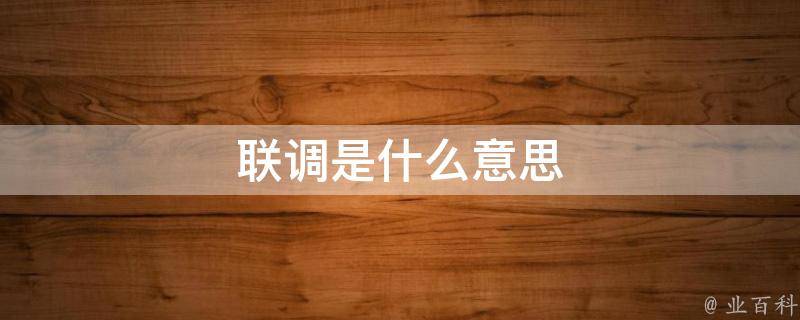 联调是什么意思