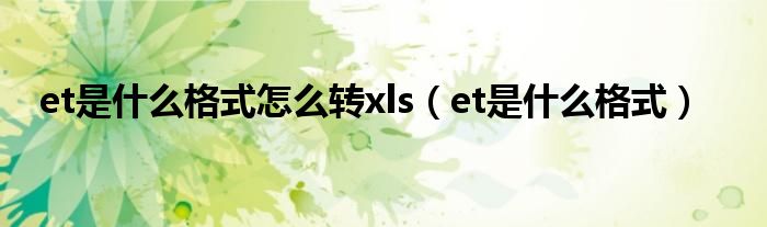et是什么格式