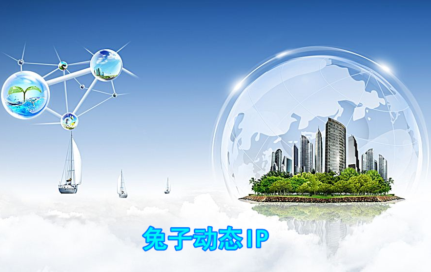 动态ip