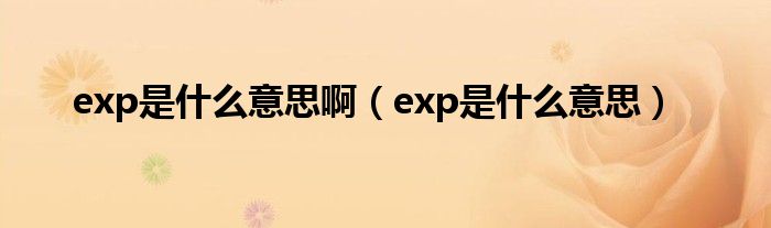 exp计算