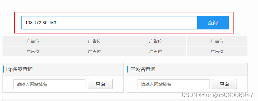 在线查ip