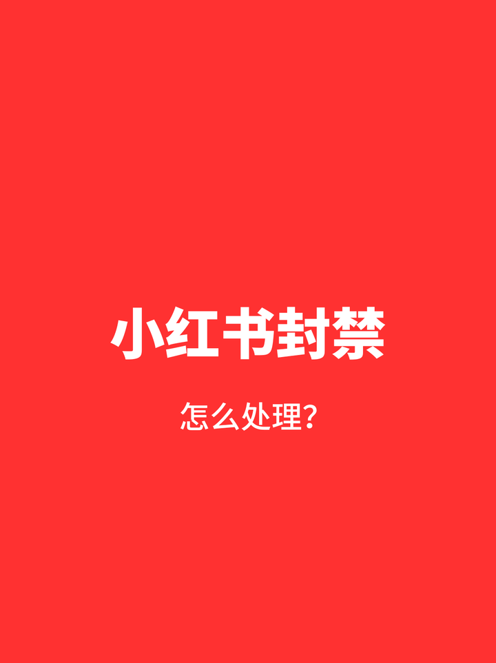 小红书投诉电话